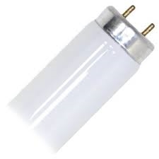 F25T12/CW/28 Fluorescent Light Bulbs 